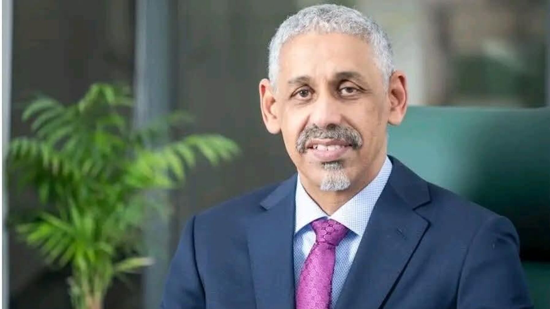 Mauritanian Sidi Ould Tah Elected New President of the AfDB Mauritanian Sidi Ould Tah Elected New President of the AfDB - Sputnik Africa, 1920, 29.05.2025
