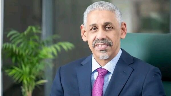 Mauritanian Sidi Ould Tah Elected New President of the AfDB - Sputnik Africa
