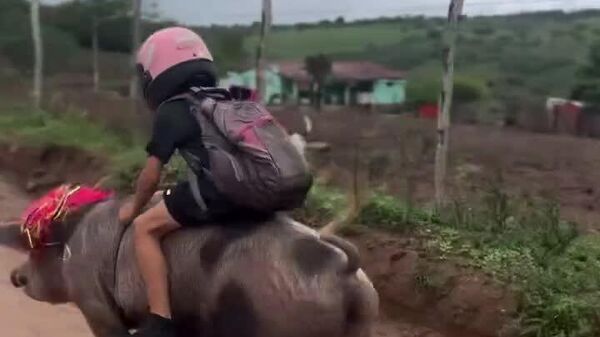 #viral | Cowboy Spirit Lives On — Brazilian Kid Galloping - Sputnik Africa