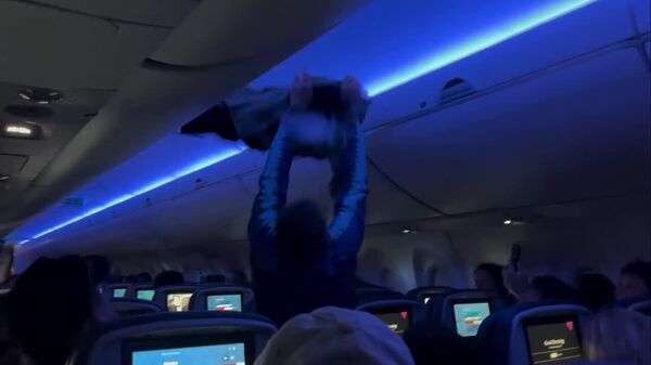 #viral | Forget in-flight movies! Passengers on a recent US flight got a live showing of 'Pigeon Class'—complete with winged VIP guests - Sputnik Africa