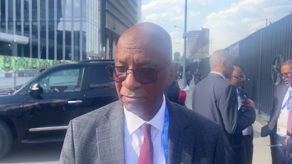 Abbas Mohamed Bakhit - Sputnik Africa