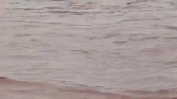 At Least 88 Die Due to Flash Floods in Central Nigeria - Sputnik Africa