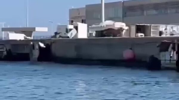 Un sanglier fait le grand plongeon dans un port espagnol - Sputnik Afrique