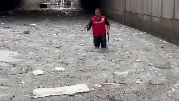 #viral | Heartwarming Rescue of Trapped Pigeon in Alexandria’s Floods - Sputnik Africa