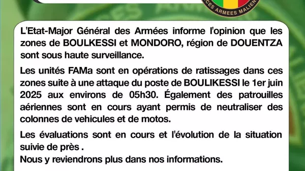 L'aviation malienne détruit un convoi terroriste près de la frontière avec le Burkina Faso - Sputnik Afrique