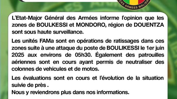 L'aviation malienne détruit un convoi terroriste près de la frontière avec le Burkina Faso - Sputnik Afrique