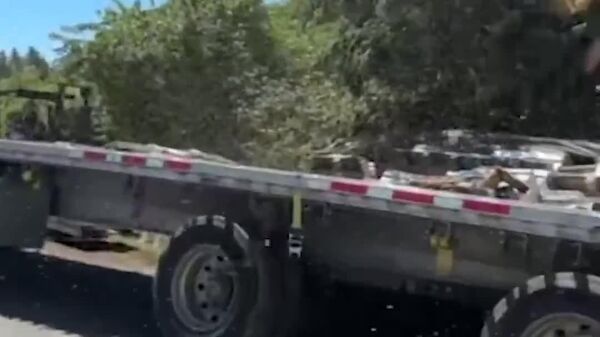 #viral | Massive Bee Spill: Overturned Truck Releases Nearly 14 Million Bees Near US-Canada Border - Sputnik Africa