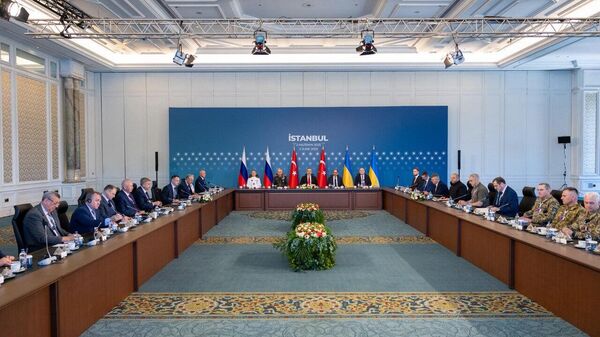 The second round of Russian-Ukrainian negotiations in Istanbul - Sputnik Africa