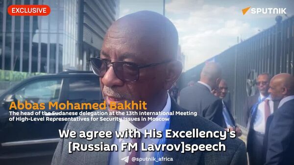 We agree with Lavrov — Head of Sudanese Delegation - Sputnik Africa
