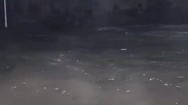 #viral | Mexico City Drowns in Heavy Rains: Drivers Battle Flooded Streets - Sputnik Africa