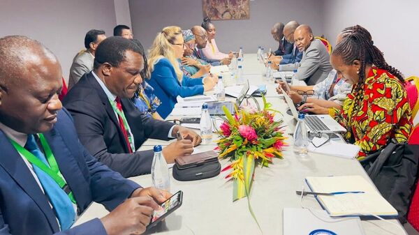 SADC and AfDB Unite for $22 - Sputnik Africa