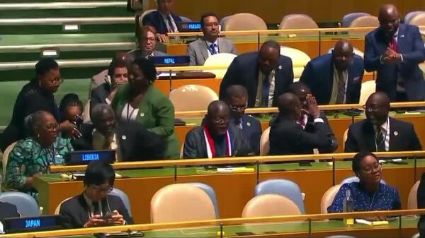 DR Congo and Liberia Secure Seats on UN Security Council as Non-Permanent Members - Sputnik Africa