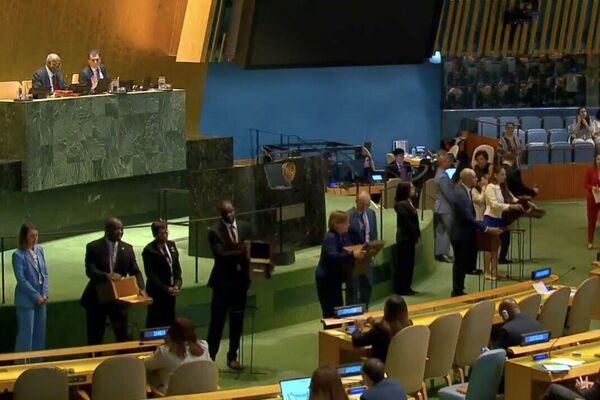 DR Congo and Liberia Secure Seats on UN Security Council as Non-Permanent Members DR Congo and Liberia Secure Seats on UN Security Council as Non-Permanent Members - Sputnik Africa