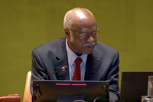 DR Congo and Liberia Secure Seats on UN Security Council as Non-Permanent Members DR Congo and Liberia Secure Seats on UN Security Council as Non-Permanent Members - Sputnik Africa