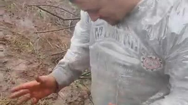 #viral | Roadside Treasure: Man Finds Amethyst Druse After Rain in Brazil - Sputnik Africa