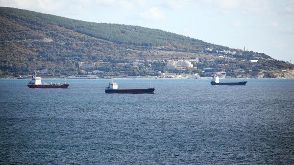 Tanker Ships in Tsemes Bay, Novorossiysk, Russia - Sputnik Africa