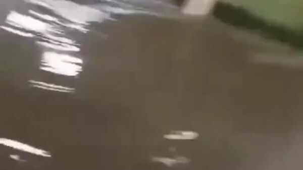 #viral | Mexico's Capital Drowned in Unprecedented Rains - Sputnik Africa