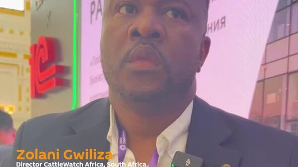 Why African Media Must Lead the Narrative Fight? - Sputnik Africa
