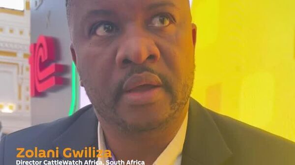 Africa Trusts Sputnik Because It Understands Local Culture, Managing Director of SA Tech Company Says - Sputnik Africa