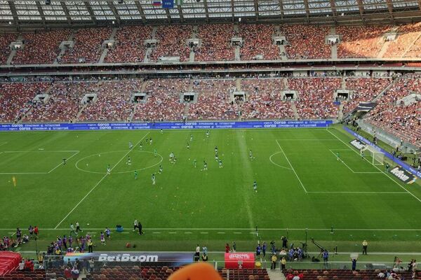 Everything is Ready for the Match Between Russia and Nigeria - Sputnik Africa