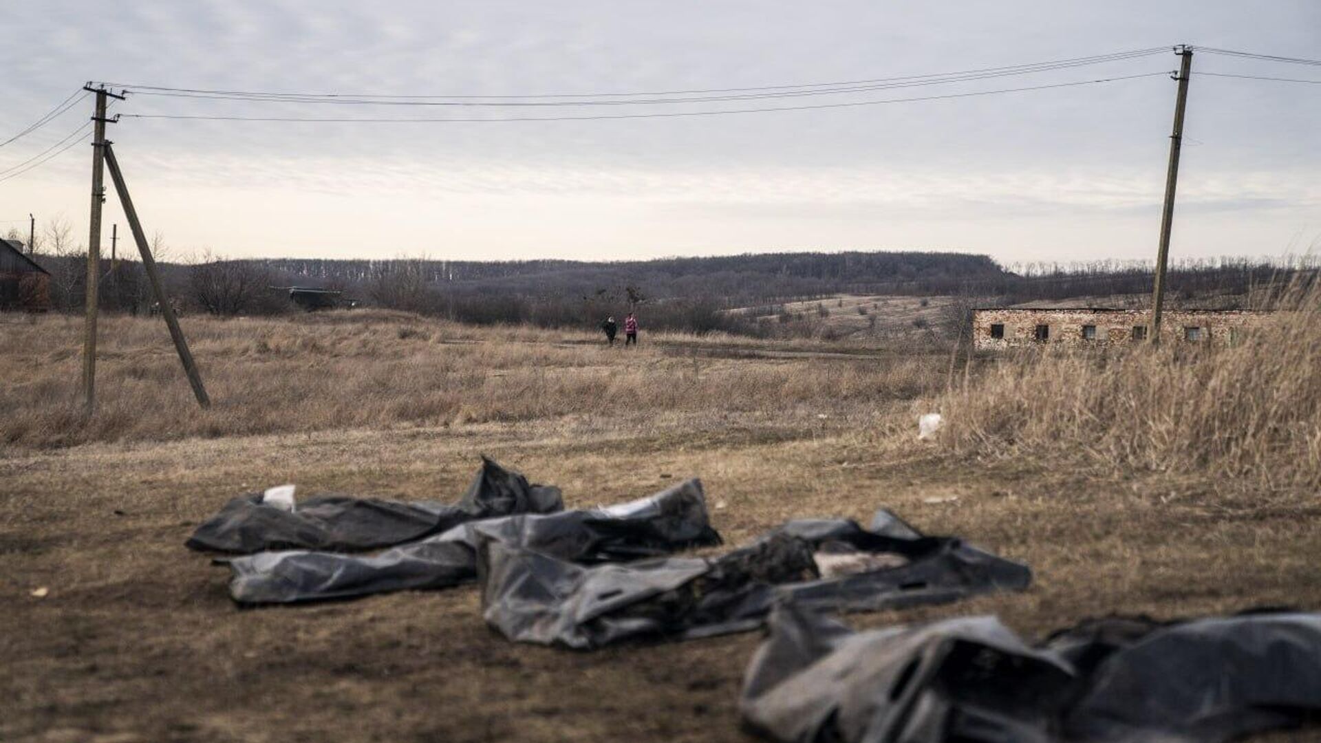 Avoiding Recovery of Soldiers' Bodies by Kiev is 'Not Very Rational Decision' Avoiding Recovery of Soldiers' Bodies by Kiev is 'Not Very Rational Decision' - Sputnik Africa, 1920, 08.06.2025
