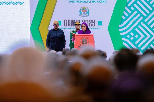 34% Surge in Public Institution Dividends Marks Historic Milestone for Tanzania 34% Surge in Public Institution Dividends Marks Historic Milestone for Tanzania - Sputnik Africa
