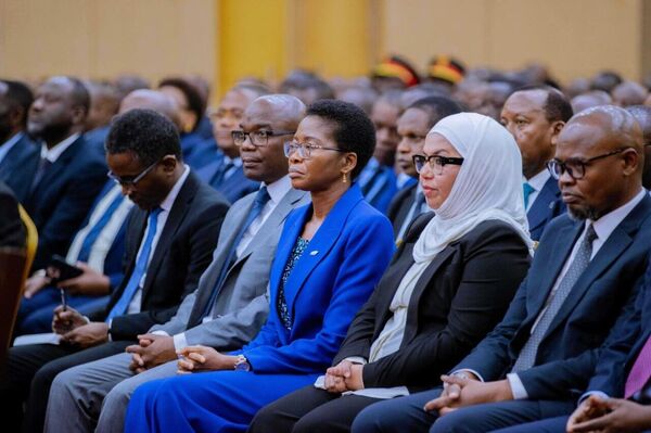 34% Surge in Public Institution Dividends Marks Historic Milestone for Tanzania 34% Surge in Public Institution Dividends Marks Historic Milestone for Tanzania - Sputnik Africa