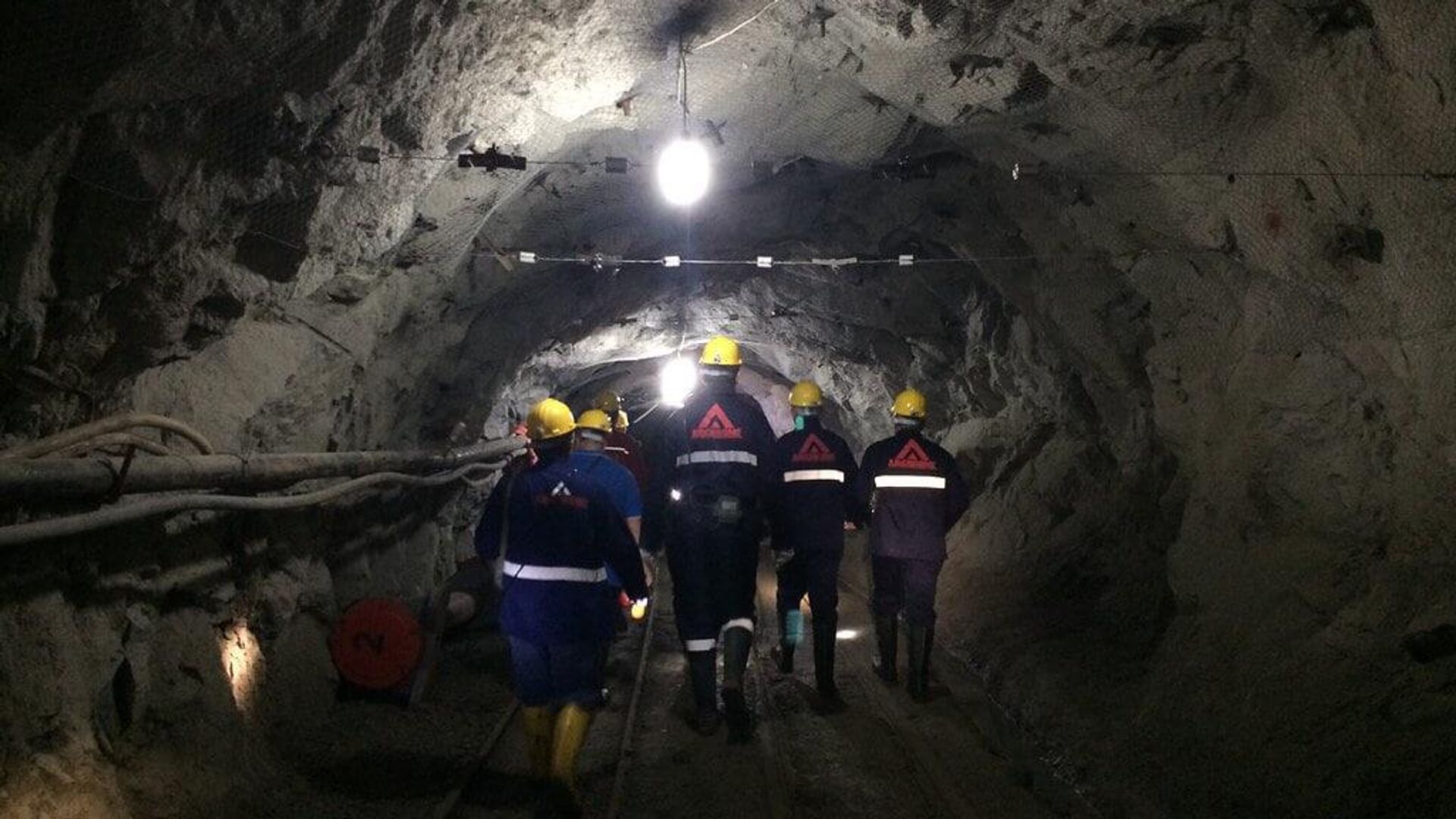 Zimbabwe Ties New Chrome Mining to Local Smelting Zimbabwe Ties New Chrome Mining to Local Smelting - Sputnik Africa, 1920, 11.06.2025