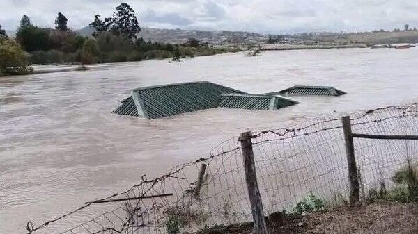 Afrique du Sud : 49 morts dans des inondations au Cap-Oriental, un nouveau bilan - Sputnik Afrique