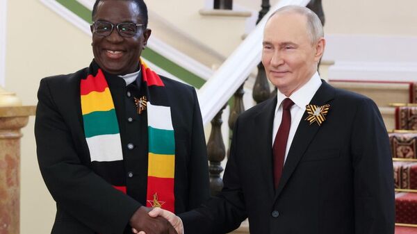 Shared Struggles, Shared Goals: Zimbabwe and Russia Stand United - Sputnik Africa