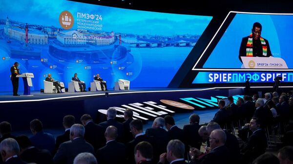 Zimbabwe's Delegation to Russia's SPIEF Forum Will Include Almost the Entire Cabinet of Ministers - Sputnik Africa