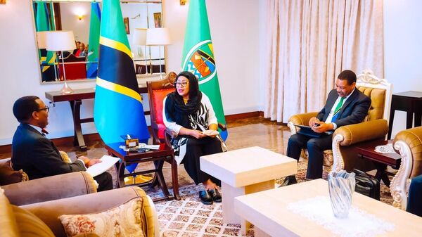 AfDB Chief Lauds Progress on Major Infrastructure Projects in Tanzania's Capital - Sputnik Africa