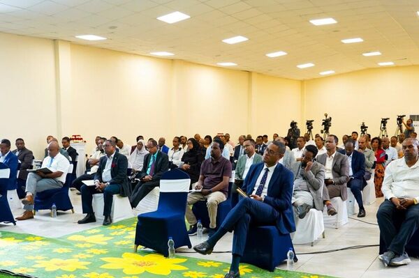 Ethiopia Urged to Prioritize Digital Content and Power Distribution to Unlock DPI Benefits Ethiopia Urged to Prioritize Digital Content and Power Distribution to Unlock DPI Benefits - Sputnik Africa