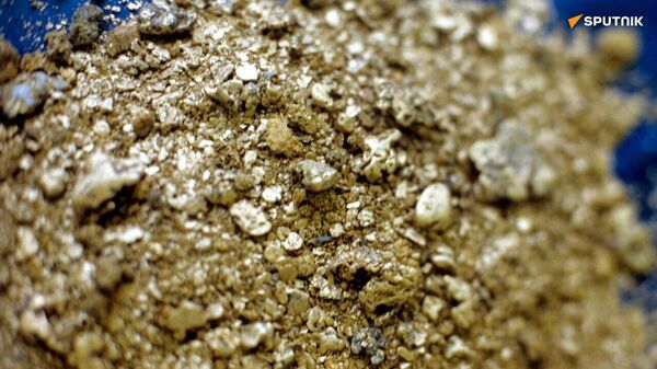 Côte d'Ivoire Discovers at Least 100 Tonnes of Gold - Sputnik Africa