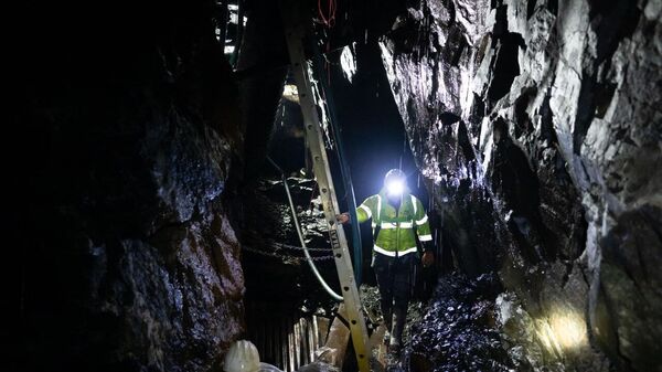 Russian Gold Mining Company Nordgold Sees Untapped Potential in African Countries, Ready to Invest - Sputnik Africa