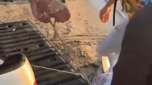 #viral | Fishermen Hook 200kg Tuna in Izmir, Turkey - Sputnik Africa