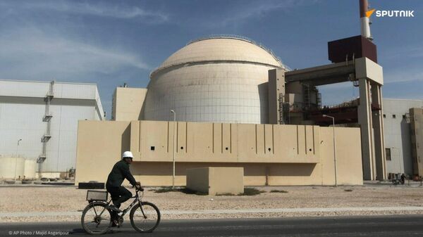 A strike on the Bushehr nuclear power plant in Iran could lead to a disaster comparable to Chernobyl, Russian energy giant Rosatom CEO says - Sputnik Africa