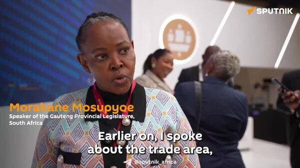 South African Legislator at #SPIEF2025: BRICS Key to Africa's Development, Must Replace IMF 'Poverty' Model - Sputnik Africa