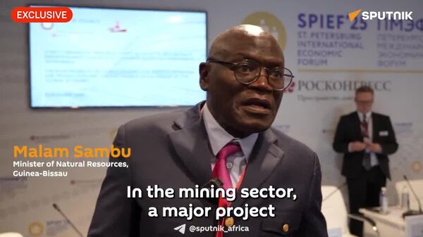 Russia Relaunches Bauxite Mining in Guinea-Bissau - Sputnik Africa