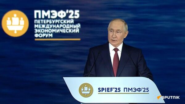 Putin Invites Countries To Take Part in Shaping New Global Growth Model in World - Sputnik Africa