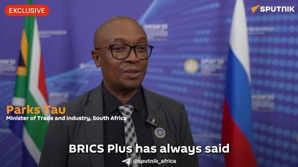 'BRICS Plus & AfCFTA: A Powerhouse for Africa's Trade Future' - Sputnik Africa