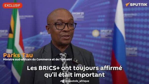 BRICS+ et ZLECA: un moteur pour l'avenir du commerce en Afrique, selon un ministre sud-africain - Sputnik Afrique