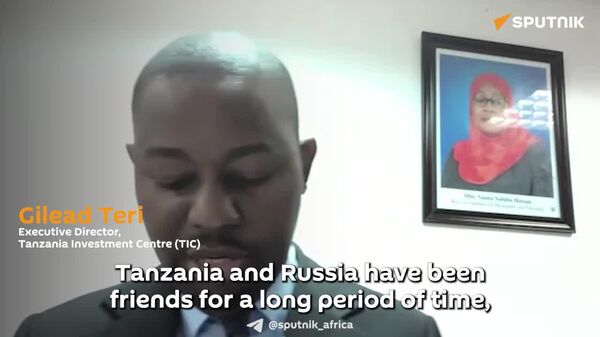 'We Have Seen Growth of Sizable Russian Investments,' Tanzanian Official Says - Sputnik Africa
