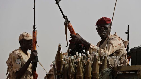 Sudan Calls for Recognition of RSF Rebels as Terrorist Organization - Sputnik Africa