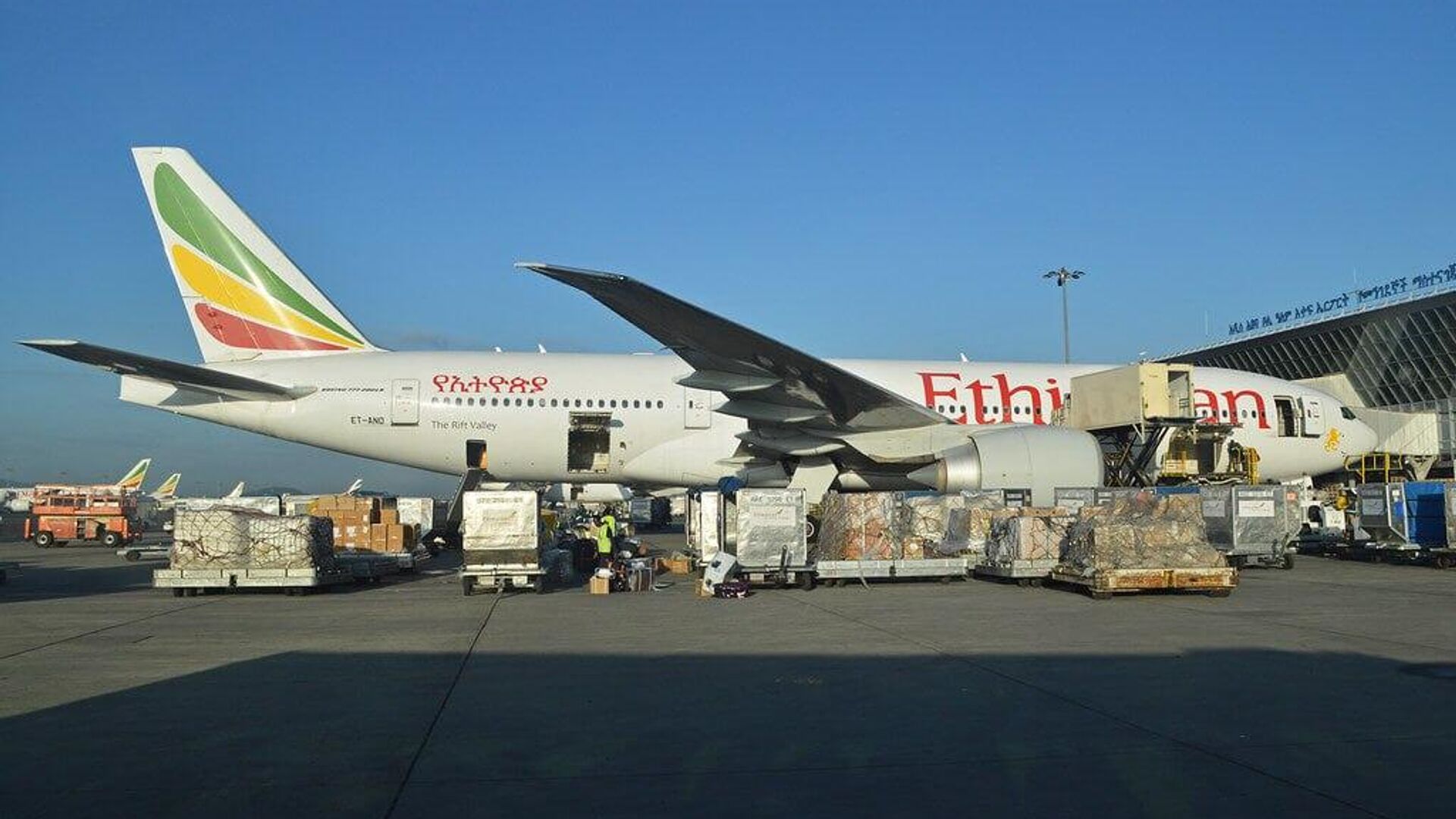 Ethiopian Airlines Launches First Direct Cargo Flight Between China's Xinjiang and Africa Ethiopian Airlines Launches First Direct Cargo Flight Between China's Xinjiang and Africa - Sputnik Africa, 1920, 27.06.2025
