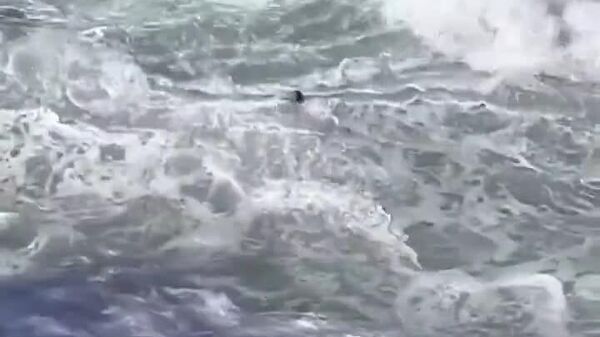 #viral | Incredible Rescue: Helicopter Saves Drowning Woman in Brazil - Sputnik Africa