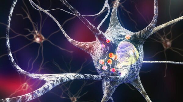 Breakthrough in Parkinson's Disease Research: Targeting Faulty Protein With Copper Therapy Offers Hope - Sputnik Africa