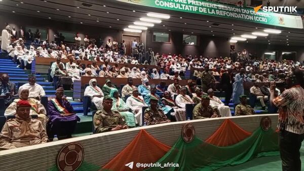 Niger Establishes Consultative Council of the Republic - Sputnik Africa