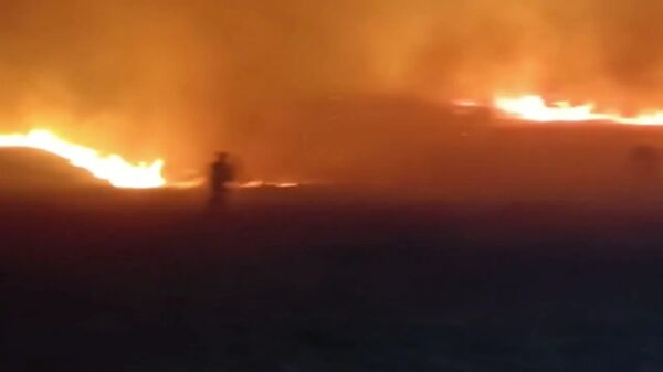 #viral | Massive Wildfire Tamed in Russia's Far East: 434 Hectares Saved in Just 24 Hours! - Sputnik Africa