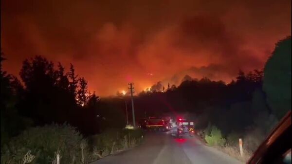 #viral | Wildfires Rage Across Western Turkey, Forcing Evacuations - Sputnik Africa